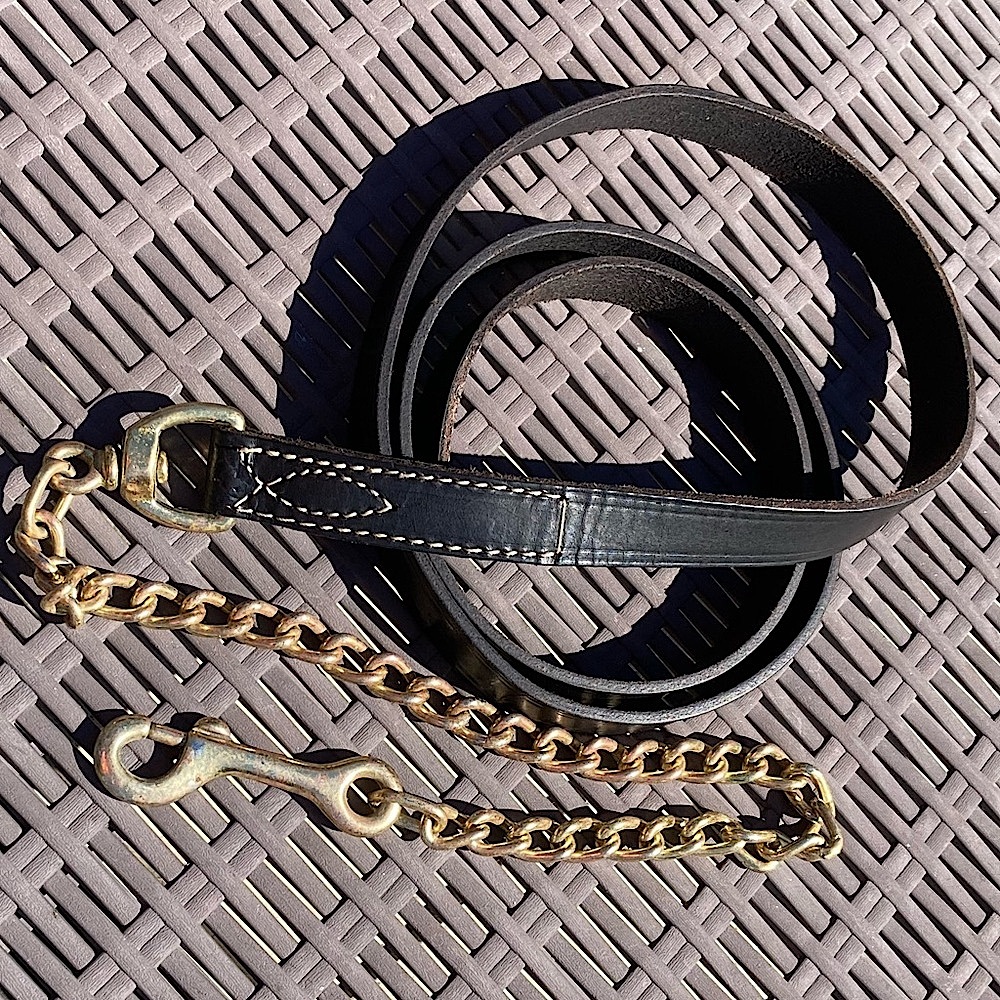 Leather Horse or Dog Lead and Chain Brass 62” New